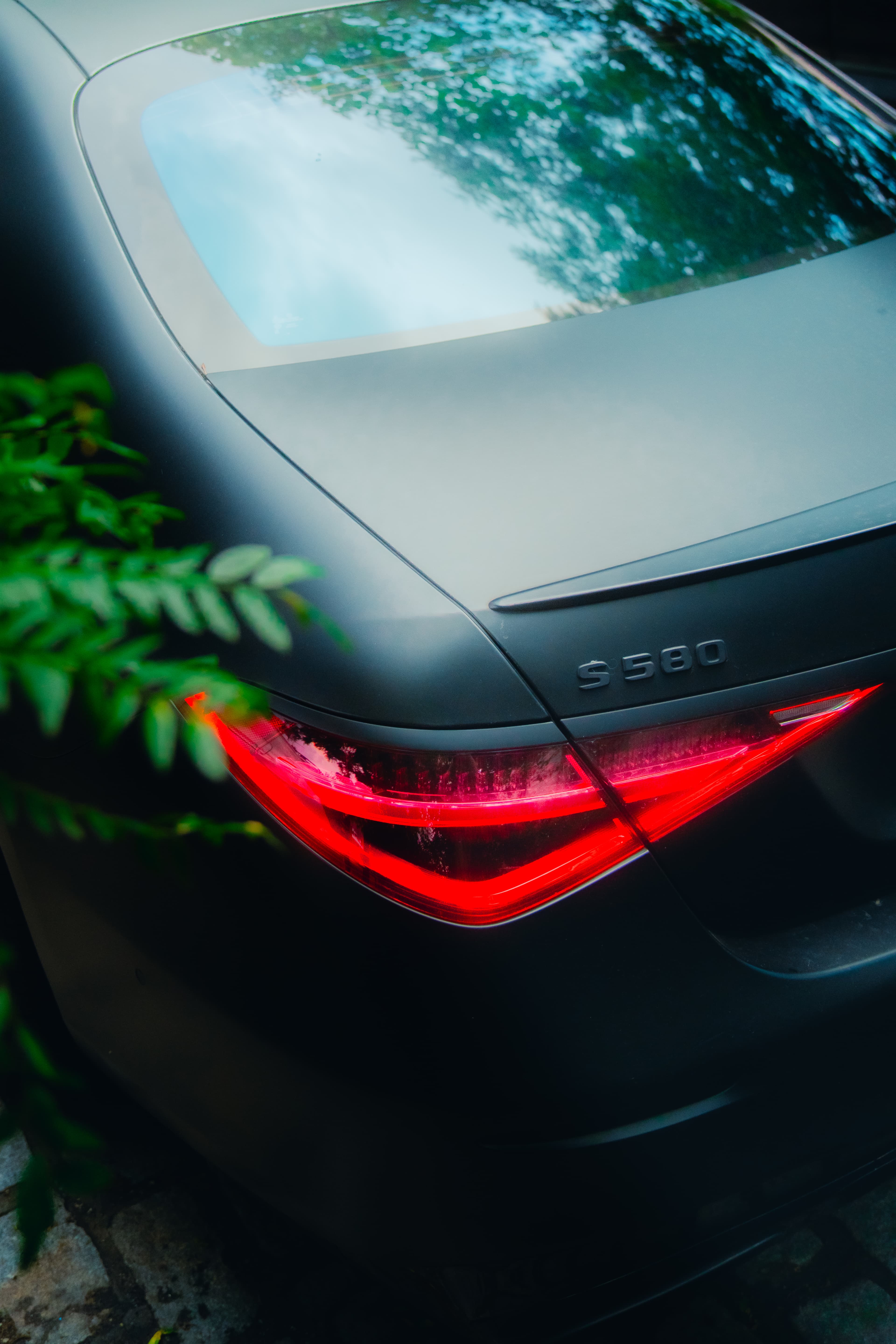 benzback