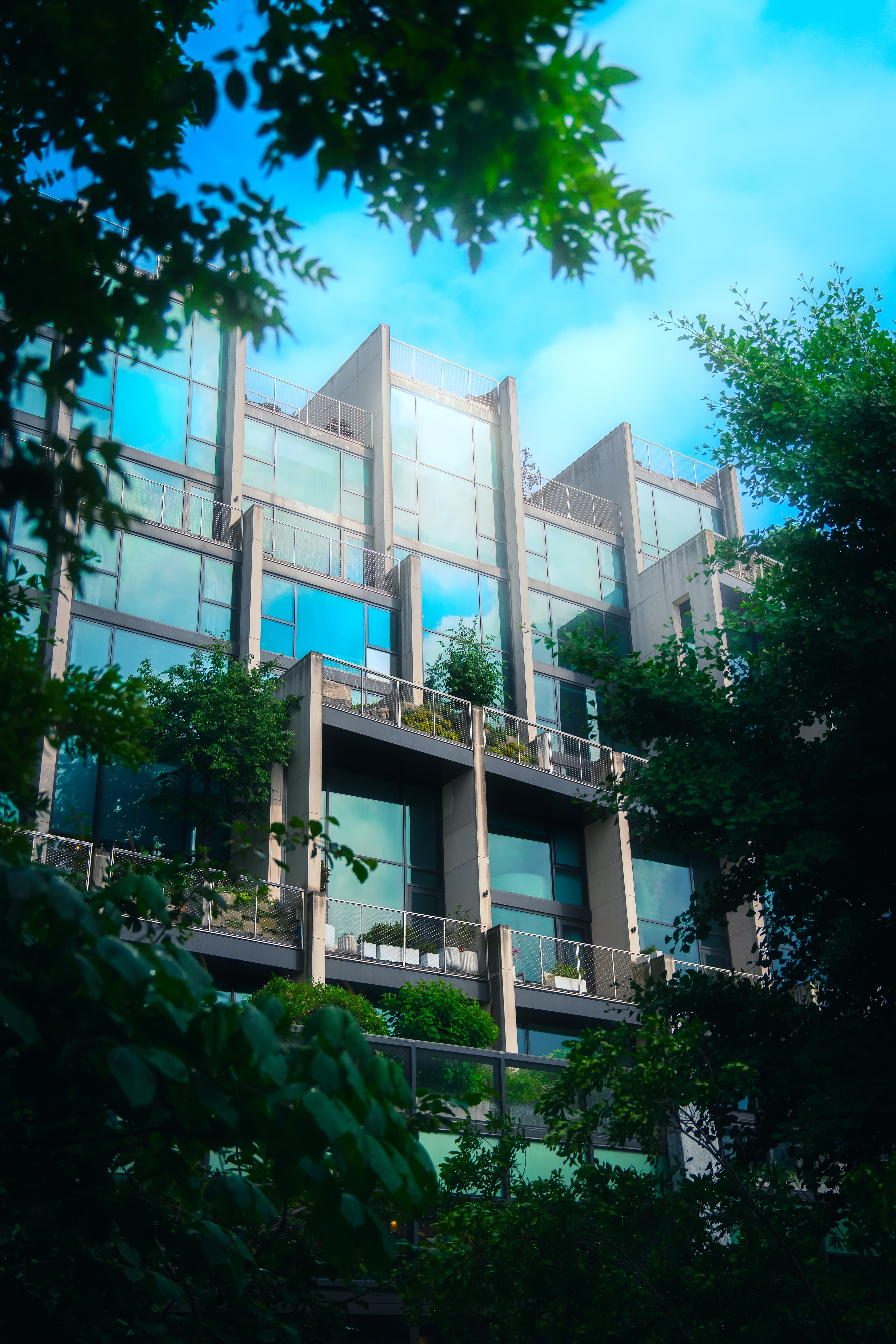 building in forest