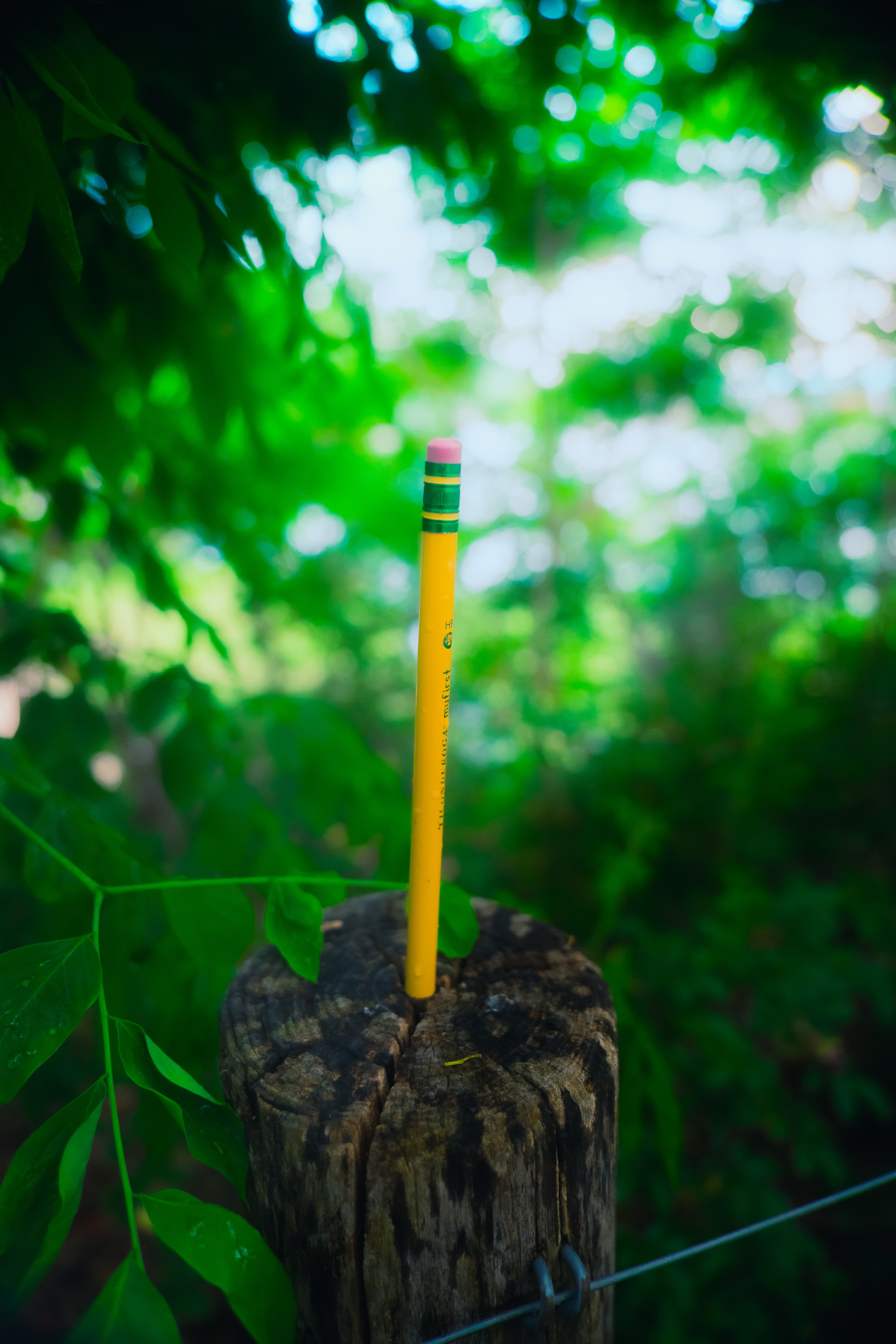 pencil
