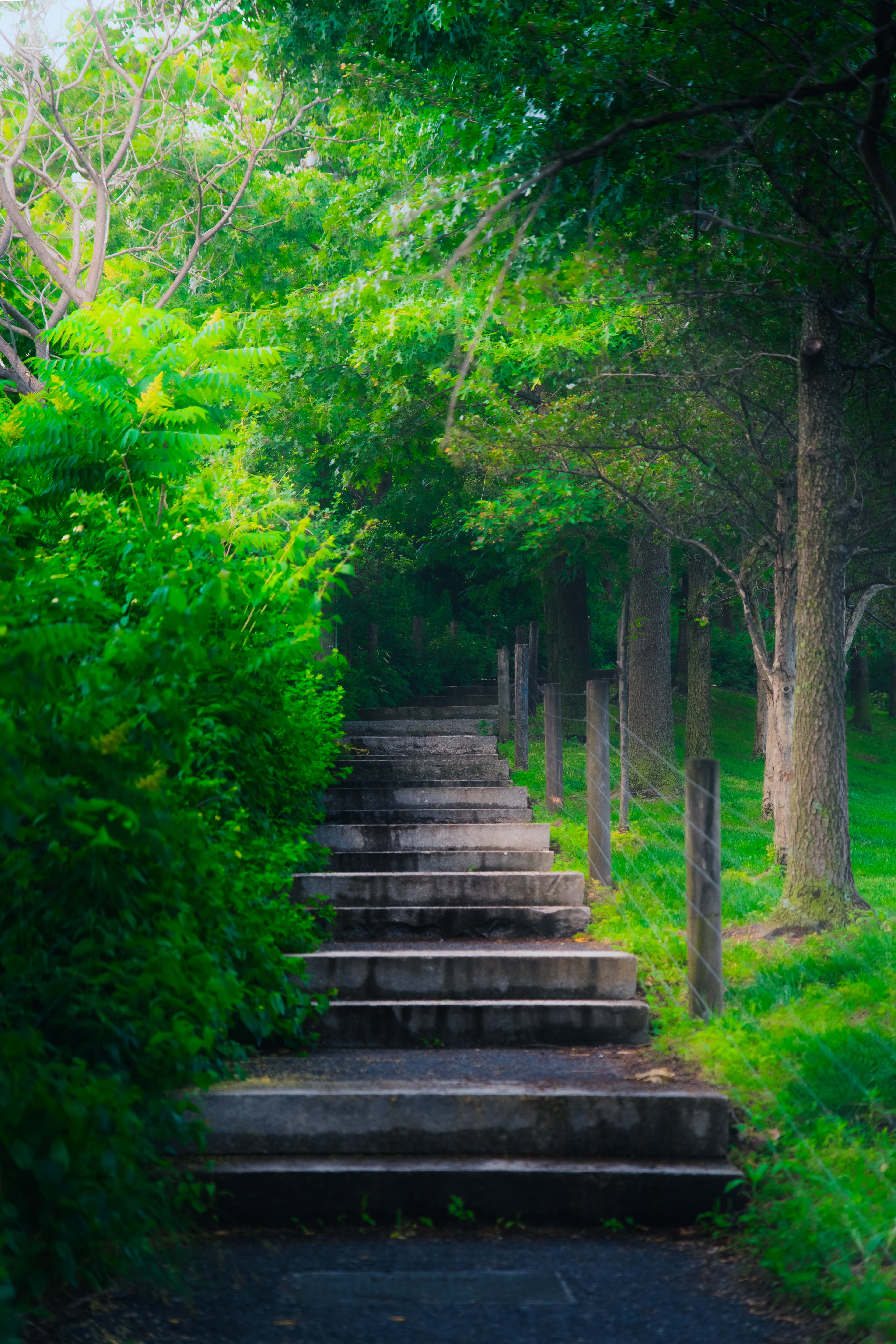 staircase